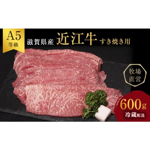 ふるさと納税 牛肉 モモ 滋賀県 豊郷町 (限定)父の日までに届く 近江牛 西川畜産 近江牛 すき焼き 約600g A5 雌牛 モモ・カタ・ウデ・バラ系等 6/21まで…