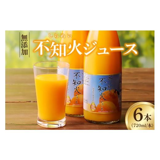 ふるさと納税 果汁飲料 みかん 愛知県 知多市 知多市産不知火ジュース 6本 / 果汁飲料 柑橘 無添加 愛知県 特産品 ご自宅用 6本 寄附金額:29,000円