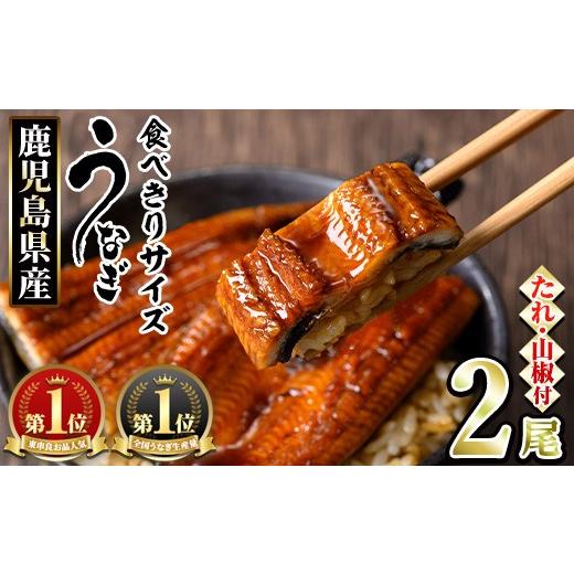 ふるさと納税 うなぎ 鹿児島県 東串良町 0074336a-2607 土用丑の日までにお届け 食べきりサイズ 東串良町のうなぎ蒲焼(無頭)(計2尾・計約200g・タレ、山椒付)…