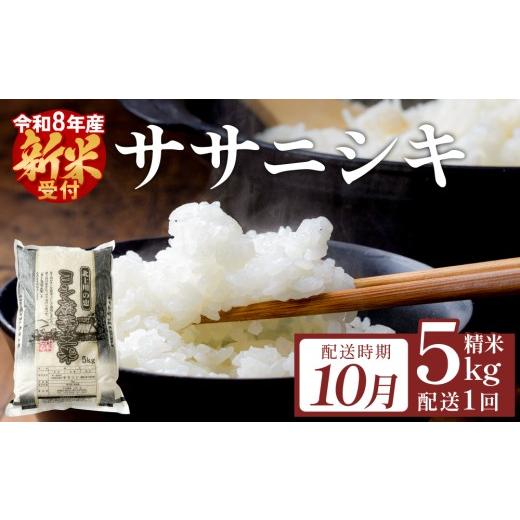 ふるさと納税 米 ササニシキ 宮城県 石巻市 10月配送 米 令和8年産 (先行予約) ササニシキ 精米 5kg 単品 こめ コメ お米 ご飯 白米 ささにしき 10月配送 5…
