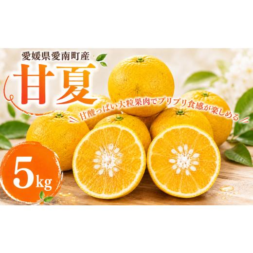 ふるさと納税 みかん・柑橘類 愛媛県 愛南町 訳あり 木取り 甘夏柑 5kg 甘夏 みかん 甘夏柑 柑橘 みかん 夏 果物 フルーツ ジャム ジュース ゼリー 愛媛県 愛…