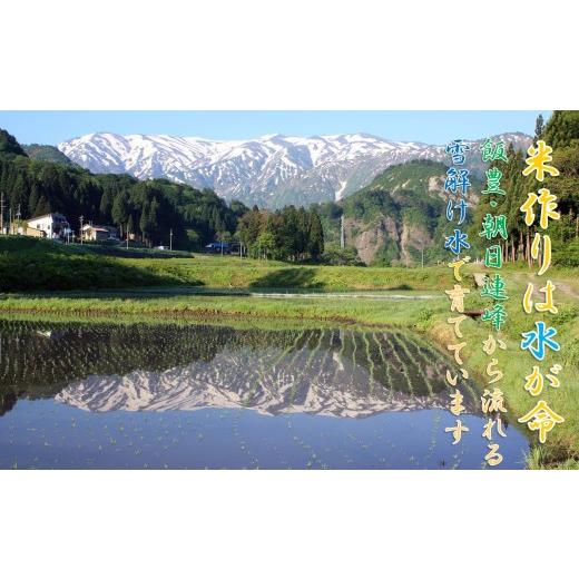 ふるさと納税 米 コシヒカリ 山形県 小国町 3回定期便 令和８年産米 先行予約 山形95号5kg　計15kg　佐藤_3