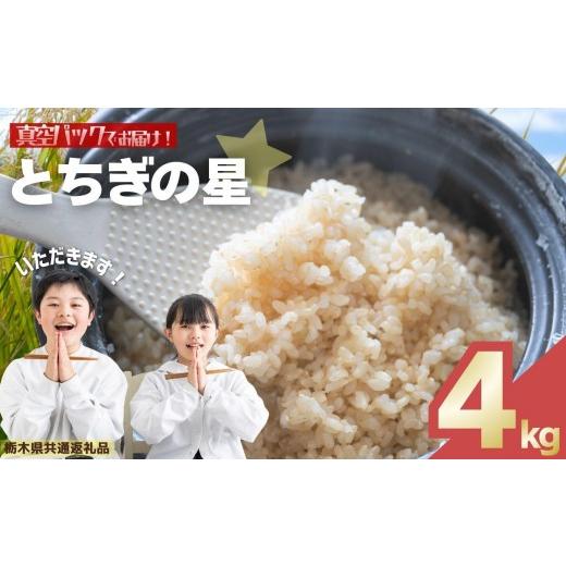 ふるさと納税 玄米 栃木県 矢板市 お米 令和8年産 とちぎの星 玄米 2kg×2袋 2026年 先行予約 | 栃木県共通返礼品 栃木県 矢板市 4kg | 9200円