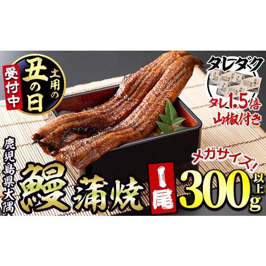 ふるさと納税 うなぎ 鹿児島県 東串良町 0104312a-2607 土用丑の日までにお届け 東串良町のうなぎ蒲焼(無頭) メガサイズ (1尾・300g以上・タレ、山椒×3個 通…