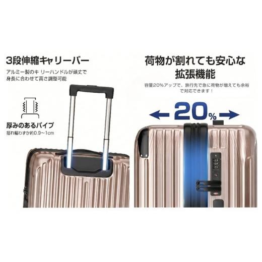 ふるさと納税 カバン 千葉県 松戸市 スーツケース Sサイズ ゴールド