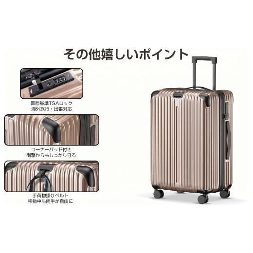 ふるさと納税 カバン 千葉県 松戸市 スーツケース Sサイズ ゴールド
