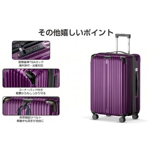 ふるさと納税 カバン 千葉県 松戸市 スーツケース Sサイズ パープル