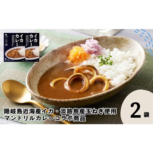 ふるさと納税 加工品等 レトルト 島根県 海士町 イカカレー 2箱セット 160g×2箱 電子レンジ調理可 マンドリルカレーコラボ商品 レトルト カレー いか イカ …