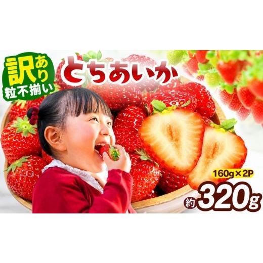 ふるさと納税 いちご 栃木県 矢板市 訳あり 粒不揃い とちあいか 320g (160g×2P) 2027年先行予約 いちご 苺 | 栃木県 矢板市 「新定番」とちあいか | 5000円