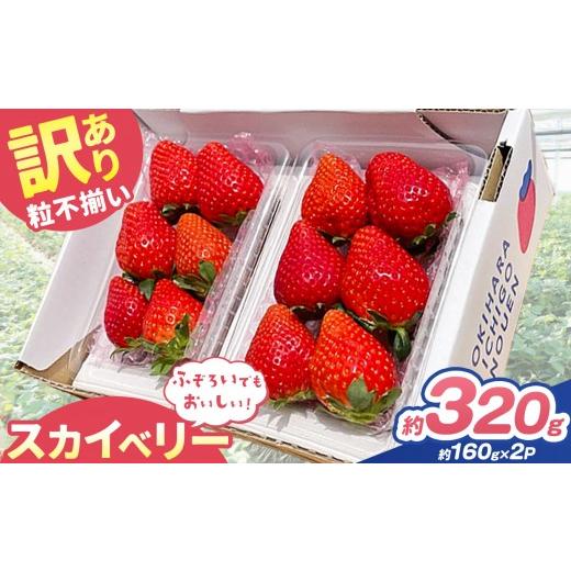 ふるさと納税 いちご 栃木県 矢板市 訳あり 粒不揃い スカイベリー 320g (160g×2P) 2027年先行予約 いちご 苺 | 栃木県 矢板市 「大粒」スカイベリー | 5000…
