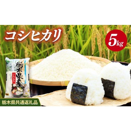 ふるさと納税 米 コシヒカリ 栃木県 鹿沼市 米 コシヒカリ 5kg 栃木県産 栃木県共通返礼品 5kg | 寄付額9,500円