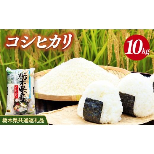 ふるさと納税 米 コシヒカリ 栃木県 鹿沼市 米 コシヒカリ 10kg(5kg×2) 栃木県産 栃木県共通返礼品 10kg(5kg×2) | 寄付額18,000円
