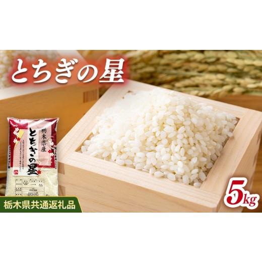 ふるさと納税 米 栃木県 鹿沼市 米 とちぎの星 5kg 栃木県産 栃木県共通返礼品 5kg | 寄付額9,500円