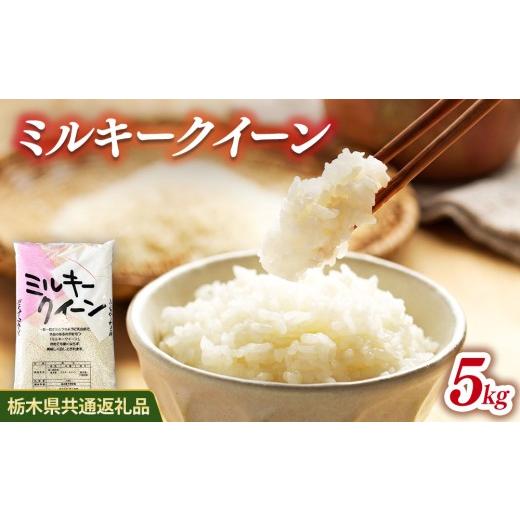 ふるさと納税 米 ミルキークイーン 栃木県 鹿沼市 米 ミルキークイーン 5kg 栃木県産 栃木県共通返礼品 5kg | 寄付額10,000円