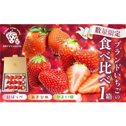 ふるさと納税 いちご 愛知県 豊橋市 3種のイチゴ食べ比べセット 1パック 1箱 紅ほっぺ あきひめ やよい姫 章姫 北野イチゴHOUSE いちご イチゴ 苺 ブランド 甘…