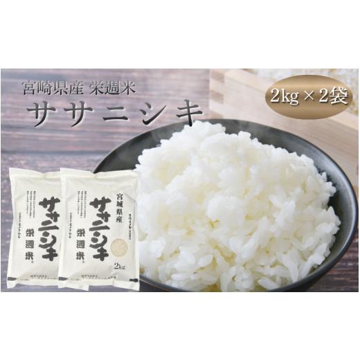 ふるさと納税 米 ササニシキ 宮城県 美里町 令和8年産 栄週米 ササニシキ(精米)2kg×2袋セット 10月上旬より順次発送予定