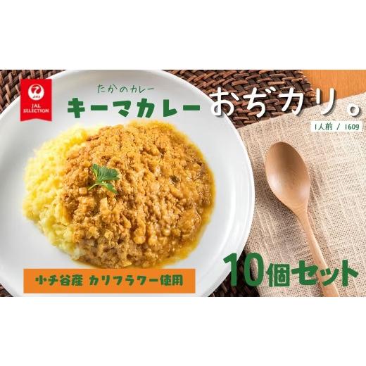ふるさと納税 加工品等 レトルト 新潟県 小千谷市 おぢカリ。 キーマカレー 10個セット レトルト カリフラワー まるごと使用 | 備蓄 レトルトパック レトルト…