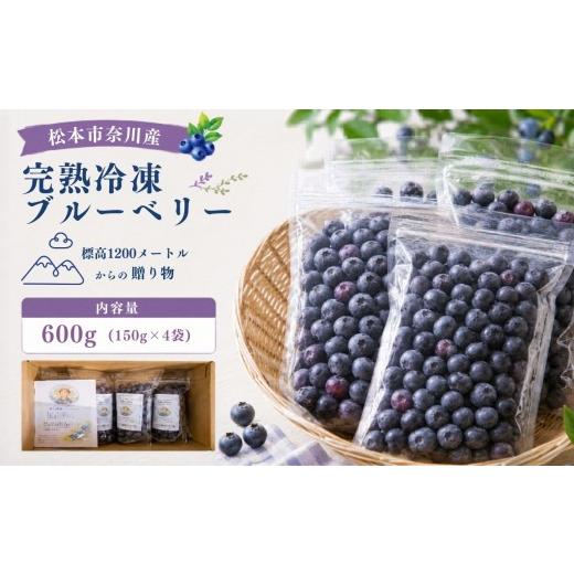 ふるさと納税 果物類 長野県 松本市 先行受付 栽培期間中農薬不使用 標高1200mで育った完熟冷凍ブルーベリー 600g(150g×4パック)|信州 ブルーベリー 完熟…
