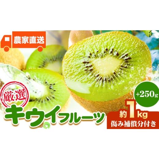ふるさと納税 果物類 和歌山県 日高町 先行予約 厳選 キウイ フルーツ 約1kg +250g (傷み補償分) 池田鹿蔵農園@日高町(池田農園株式会社)[11月中旬〜2027…