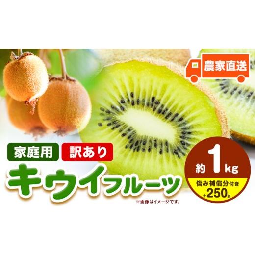 ふるさと納税 果物類 和歌山県 日高町 先行予約 ご家庭用 キウイ フルーツ 約1kg +250g (傷み補償分) 池田鹿蔵農園@日高町(池田農園株式会社)[11月中旬〜2…