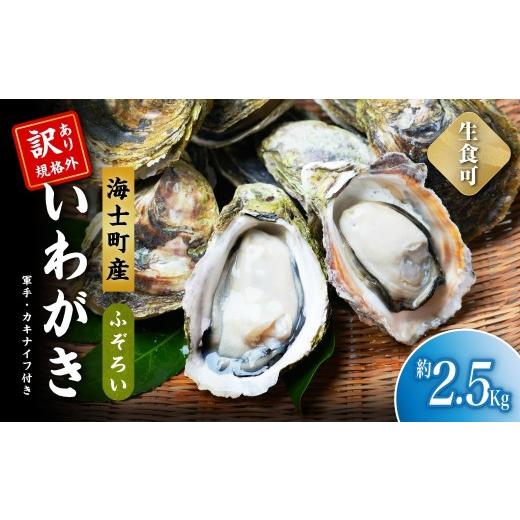 ふるさと納税 牡蠣 生牡蠣 島根県 海士町 規格外品 海士町産いわがき 規格外 2.5kgセット 牡蠣 牡蛎 いわがき 岩牡蠣 殻付き 海鮮 生食 牡蠣ナイフ付き