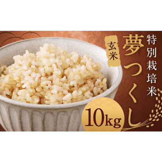 ふるさと納税 玄米 福岡県 柳川市 令和8年度産先行予約 玄米 夢つくし (特別栽培米) 約10kg 福岡県産 令和8年産 玄米 米 こめ コメ 玄米_令和8年度産