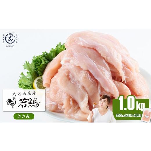 ふるさと納税 鶏肉 ささみ 鹿児島県 志布志市 小分けで便利 鹿児島県産若鶏ささみ 計1kg(250g×4P) 鶏肉 とり肉 鳥肉 ささみ 鳥ささみ ヘルシー ダイエット 低…