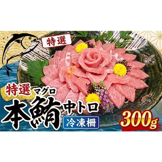 ふるさと納税 マグロ 高知県 室戸市 地中海産 本マグロ 中トロ 約300g まぐろ トロ クロマグロ 黒マグロ 刺身 刺し身 さしみ 冷凍 マルタ産 養殖 刺し身 鮮魚 …