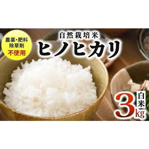 ふるさと納税 米 ヒノヒカリ 福岡県 篠栗町 農薬・除草剤・肥料不使用 自然栽培米 令和7年度産ヒノヒカリ 白米 3kg 白米