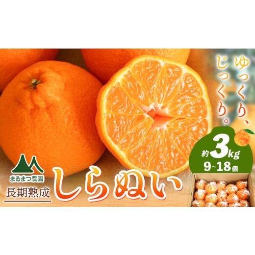 ふるさと納税 みかん・柑橘類 和歌山県 日高川町 長期熟成 しらぬい 約3kg (9-18個) まるまつ農園[5月上旬-6月上旬頃出荷] 和歌山県 日高川町 不知火 柑橘 …