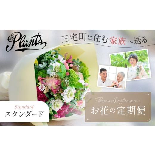 ふるさと納税 雑貨・日用品 花 奈良県 三宅町 The Plants 花 フラワー ふるさと定期便 3回 お届け 三宅町に住む家族へ 花束 ギフト:スタンダード スタンダー…