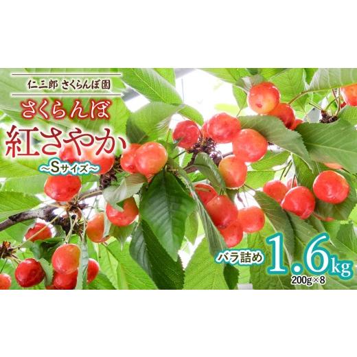 ふるさと納税 果物類 さくらんぼ 山形県 鶴岡市 令和8年産先行予約 さくらんぼ 紅さやか(Sサイズ) バラ詰め 1.6kg (200g×8パック) 1箱 山形県鶴岡産 仁…