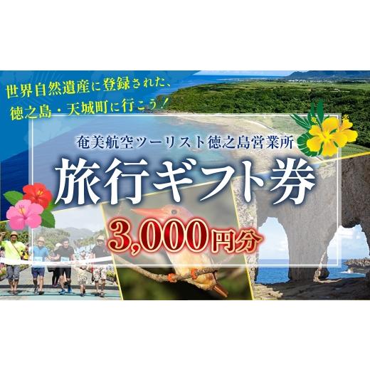 ふるさと納税 パッケージ旅行 鹿児島県 天城町 旅行ギフト券 3,000円分 奄美航空ツーリスト 徳之島営業所 旅行クーポン 航空券 フェリー 徳之島 天城町 鹿児島…