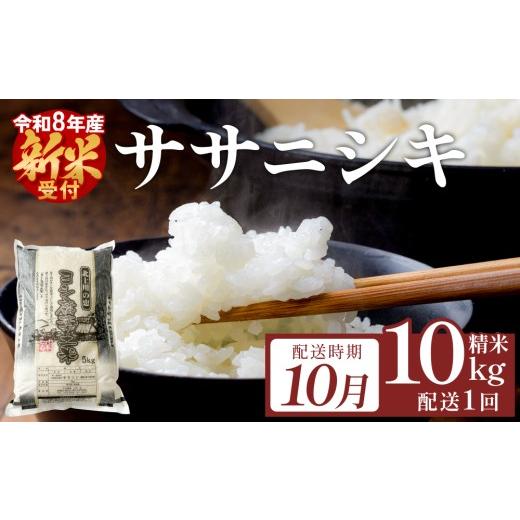 ふるさと納税 米 ササニシキ 宮城県 石巻市 10月配送 令和8年産(先行予約)ササニシキ 精米 10kg(5kg×2)単品 10月配送 10kg 単品
