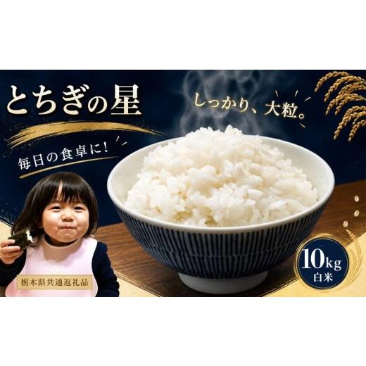 ふるさと納税 米 栃木県 矢板市 お米 令和8年産 とちぎの星 白米 10kg 2026年 先行予約 | 栃木県共通返礼品 とちぎの星10kg 白米|22000円