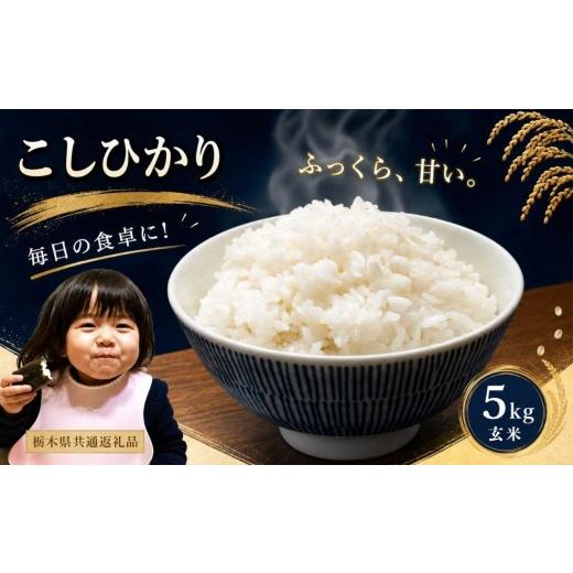 ふるさと納税 玄米 栃木県 矢板市 お米 令和8年産 こしひかり 玄米 5kg 2026年 先行予約 | 栃木県共通返礼品 こしひかり5kg 玄米|10000円