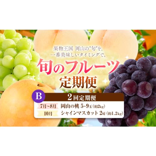 ふるさと納税 果物の詰合せ 岡山県 笠岡市 定期便 旬のフルーツ定期便 岡山のフルーツ 定期便 Bコース 2回定期便 岡山県産 桃 シャインマスカット ニューピオ…