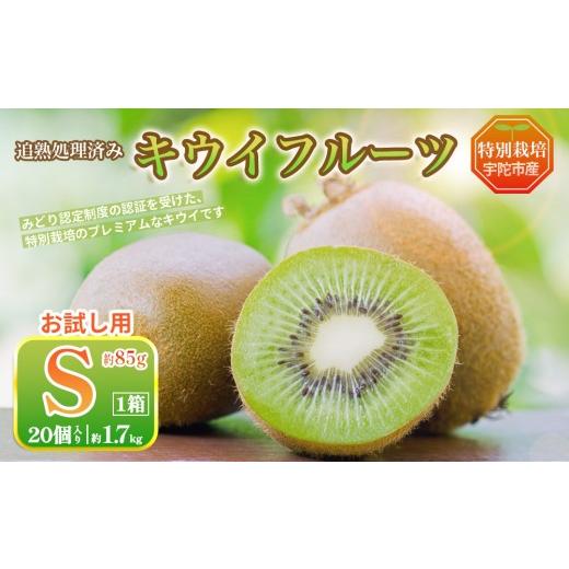ふるさと納税 果物類 奈良県 宇陀市 2026年12月〜3月順次発送 こだわり プレミアムキウイフルーツ お試し Sサイズ 20個入×1箱 追熟処理済 / ふるさと納税 …