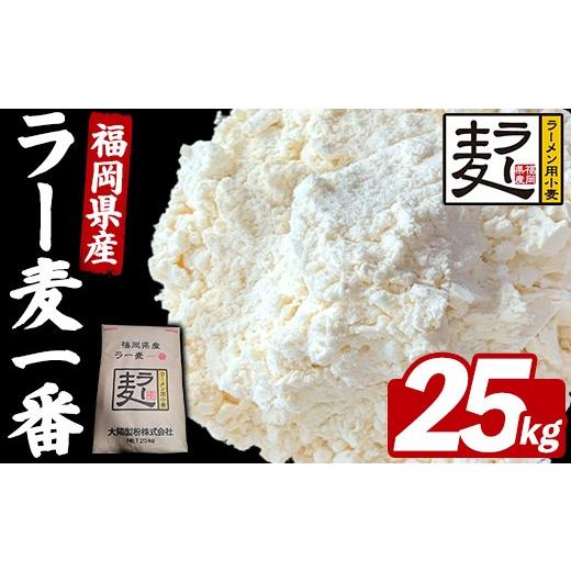 ふるさと納税 加工品等 福岡県 芦屋町 福岡県産 小麦 ラー麦一番 (25kg) 国産 福岡県産 ブランド 小麦 小麦粉 餃子 パン アレンジ ちくしW2号 ラーメン用 ラー…