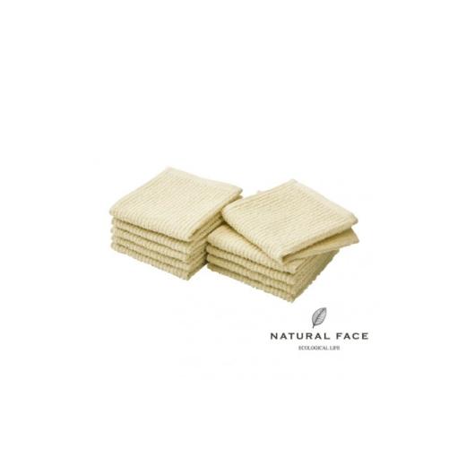 ふるさと納税 タオル・寝具 大阪府 和泉市 日本製 コンパクトおしぼりタオル 10枚セット (色:アスパラガスグリーン) 1735494