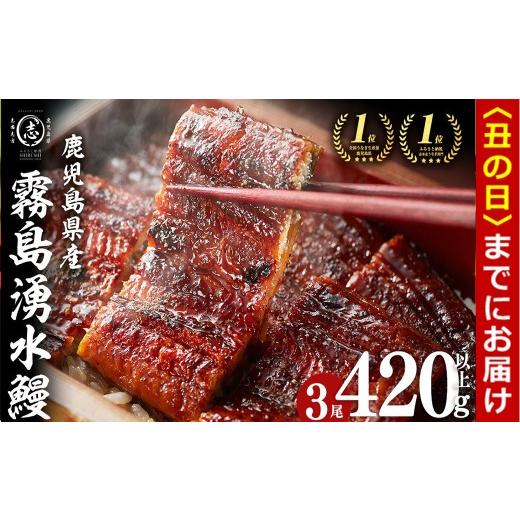 ふるさと納税 うなぎ 鹿児島県 志布志市 丑の日までに配送 志布志市人気No.1お礼の品 霧島湧水鰻の蒲焼き 140g以上×3尾 計420g以上 うなぎ 鰻 ウナギ 3尾 国…
