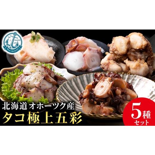 ふるさと納税 タコ 北海道 浜頓別町 浜頓別町産タコ極上五彩(味タコ・タコの酢味噌和え・タコ柔らか煮・タコバジル・タコザンギ) 株式会社シーグレイセス