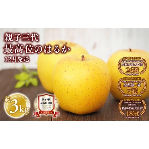 ふるさと納税 りんご 青森県 平川市 12月発送 親子三代最高位のはるか 約3kg 青森県 平川市 釈迦のりんご園