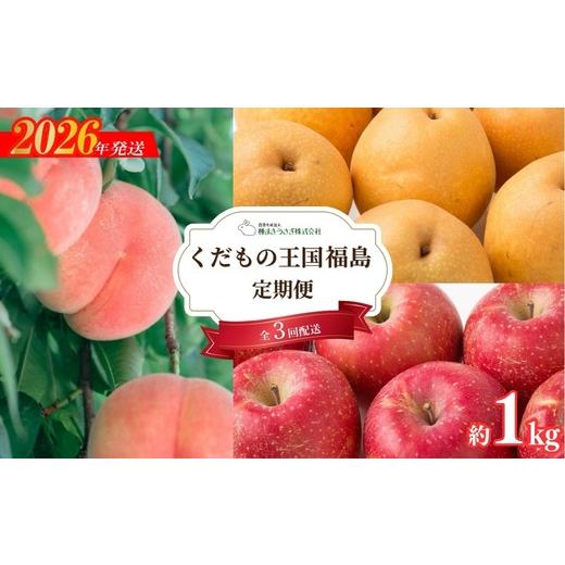 ふるさと納税 果物の詰合せ 福島県 福島市 No.3317 くだもの王国 福島 もも 梨 りんご 定期便 全3回お届け 各回約1kg 2026年発送