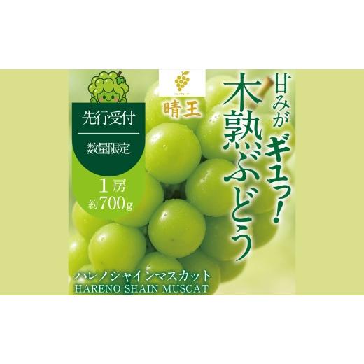 ふるさと納税 ぶどう マスカット 岡山県 倉敷市 木熟ぶどう ハレノシャイン シャインマスカット晴王 1房 約700g 果物 くだもの 果実 フルーツ 果汁 ぶどう 葡…