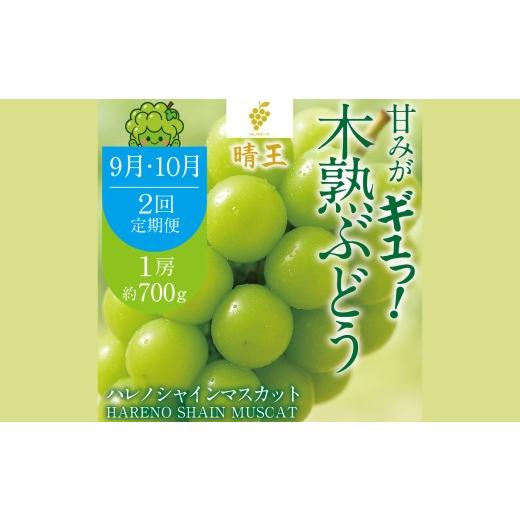 ふるさと納税 ぶどう マスカット 岡山県 倉敷市 2回定期便 木熟ぶどう ハレノシャイン シャインマスカット晴王 1房 約700g 果物 くだもの 果実 フルーツ 果汁…