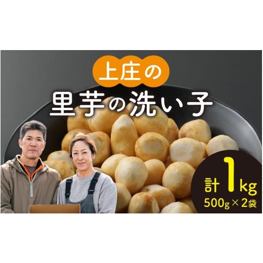 ふるさと納税 人参・大根・他根菜 福井県 大野市 先行予約 皮むきいらず、煮っ転がしに最適 上庄の里芋の洗い子 1kg 冷凍 10月中旬より順次発送 計1kg 冷凍 …