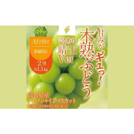 ふるさと納税 ぶどう マスカット 岡山県 倉敷市 訳あり 木熟ぶどう ハレノシャイン シャインマスカット 晴王 2房 合計約1.1kg 果物 くだもの 果実 フルーツ 果…