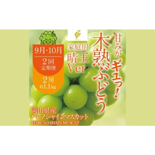 ふるさと納税 ぶどう マスカット 岡山県 倉敷市 2回定期便 訳あり 木熟ぶどう ハレノシャイン シャインマスカット 晴王 2房 合計約1.1kg 果物 くだもの 果実 …