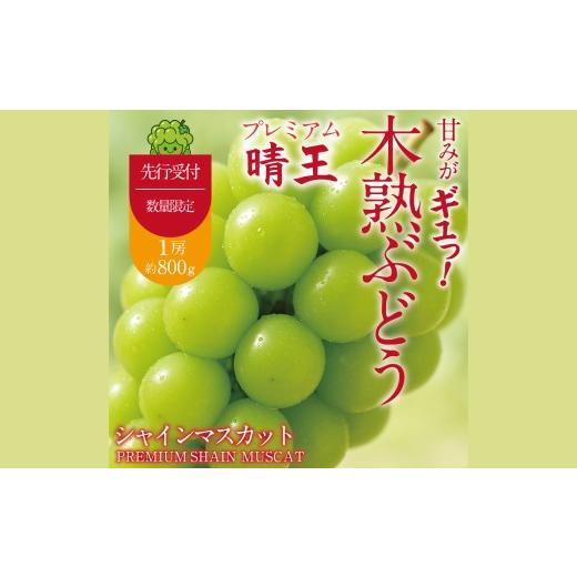 ふるさと納税 ぶどう マスカット 岡山県 倉敷市 最高峰プレミアム 木熟ぶどう ハレノシャイン シャインマスカット 晴王 1房 約800g以上 赤秀品以上 岡山県船穂…